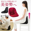 骨盤サポート チェア 姿勢矯正 好評 コシオスプレミアム cosios Premium ボードクッション 座椅子 美姿勢座椅子 骨盤矯正 骨盤座椅子 サポートクッション 男女共用 背筋 骨盤 おしゃれ 椅子 イス 自動車 テレワーク オフィス ギフト