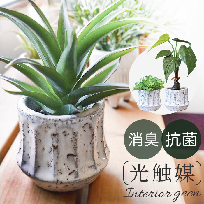 光触媒 観葉植物 好評 人工観葉植物 フェイクグリーン フェイク グリーン イミテーショングリーン  ...