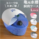 亀 飼育ケース 好評 カメの飼育ケース カメの水槽 タートルタンク 亀の水槽 お手入れ簡単 保護カバー 透明フェンス 脱走防止 亀ケース 亀ボックス 脱出防止フ...