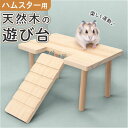 ハムスター ロフト 好評 ハムスターロフト 二階建てはしご 小動物 遊び台 遊び場 休憩場 踏み台 ステージ ハウス 住宅 部屋 木製 無垢材 小型動物 通路 ...