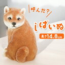 ベニーズ キャット 好評 QB-005 Benny's ベニーズキャット 庭 オーナメント 置物 オブジェ 置き物 猫 ねこ ネコ かわいい おしゃれ 可愛い ...