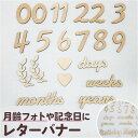 レターバナー 木製 好評 月齢フォト 木製カレンダー ニューボーンフォト 記念日用レターバナー お食い初め 100日 撮影小物 誕生日 飾り付け 記念 バースデー飾り かわいい おしゃれ 男の子 女の子 写真 インスタ 写真装飾 ギフト 贈り物