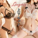 ブラ ショーツ 上下セット 好評 セクシーショーツ ブラジャー ランジェリー レディースインナー 下着 Tバックショーツ ひもパン タンガ レース おしゃれ セ...