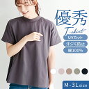 Tシャツ レディ−ス 半袖 好評 tシャツ レディ−スTシャツ 半袖シャツ レディ−スtシャツ モックネックシャツ カジュア...