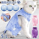 術後服 猫 好評 傷の保護 猫述語服 男の子 女の子 手術着 エリザベスウェア 傷なめ防止 着せやすい 着やすい ペット服 ペット ペットウェア 傷口保護 猫の...