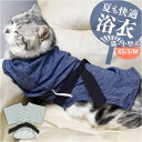 犬 甚平 好評 浴衣 着物 きもの 甚平服 ペット服 犬の服 いぬ イヌ 猫?ねこ 小型犬 かわいい おしゃれ ドッグウェア 犬甚平 花火大会 お祭り イベント 犬服 夏服 和服 シンプル ペットグッズ ペット浴衣 ギフト 贈り物