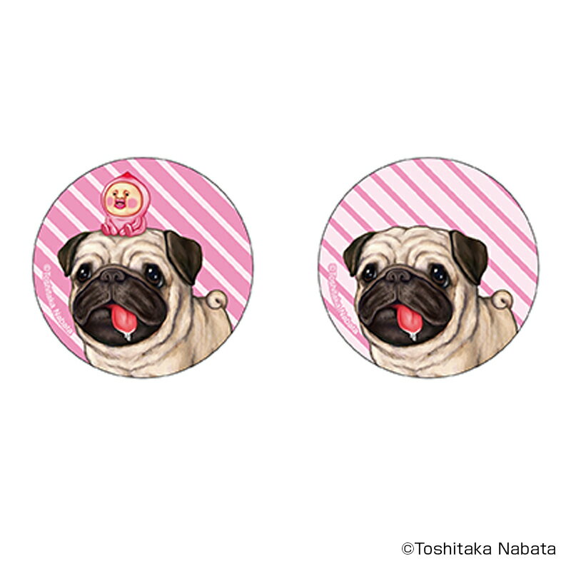 こびとづかん グッズ 好評 缶バッジ こびとずかん まじかる百貨店缶バッジ 4947864050924 こびとづかん05 缶バッチ カンバッジ カンバッチ キャ...