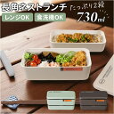 弁当箱 2段 730ml 好評 ランチボックス 二段 日本製 正和 お弁当箱 二段弁当箱 2段弁当箱 レディース 大人 女子 メンズ 男子 中フタ以外 食洗機対応 蓋を外して 電子レンジ対応 中学生 高校生 男の子 女の子 シンプル お弁当 ランチ 食器
