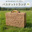 バスケット ピクニック 好評 カゴバスケット Mサイズ ウォーターヒヤシンスバスケット ピクニックバスケット カゴバッグ トランク ウェルカムスペース かご 籠 撮影小物 フォトブース シンプル おしゃれ かわいい 結婚式 収納 ギフト 贈り物