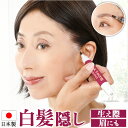 白髪隠し 好評 カラースティック 日本製 白髪かくし ヘアカラー ヘアファンデーション 白髪 白髪ケア 白髪染め ペンタイプ 生え際 筆タイプ 眉毛 まゆげ 塗...