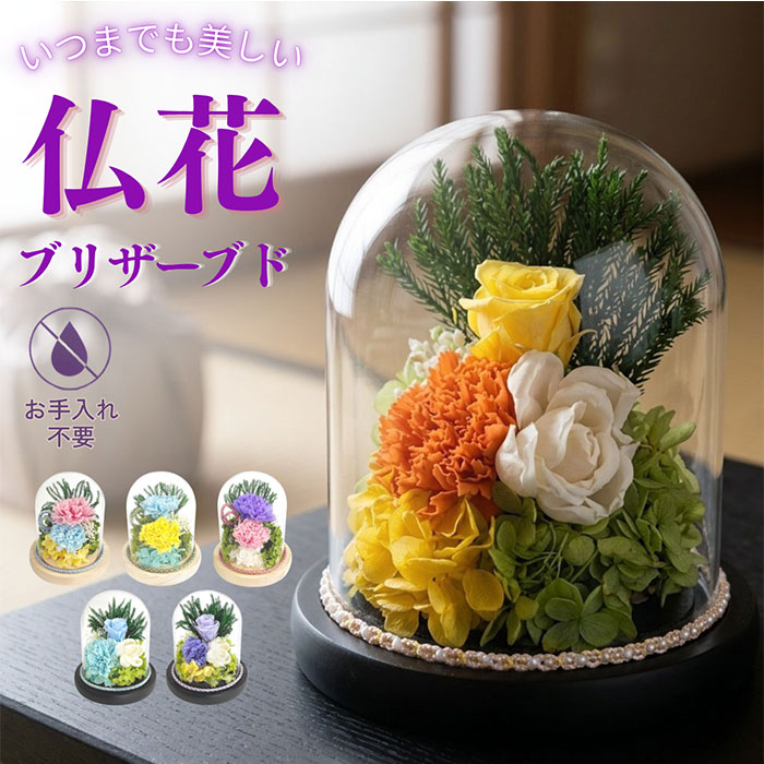商品画像2