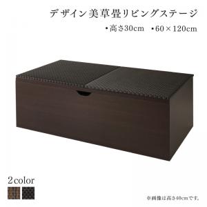 【収納カラー:ダークブラウン】【畳カラー:ブラック】リビング収納 チェスト キャビネット タンス テレビ台 国産 収納付きデザイン美草畳リビングステージ 畳ボックス収納 120×60cm ロータイプ