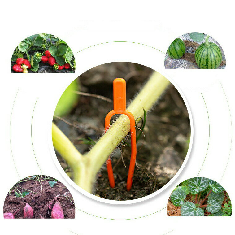 園芸クリップ 100個セット フォーク 植物 茎 蔓 つる 固定 誘引 留める 地面 土 ガーデニング用品 農業 苺 イチゴ スイカ サツマイモ 簡単 便利 3