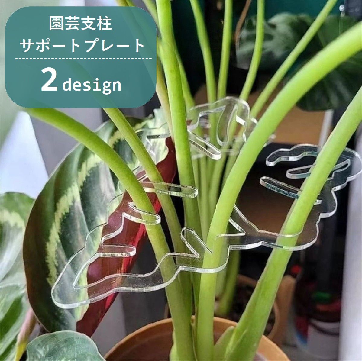 リーフ型デザインの園芸用支柱サポートです。プレートタイプで簡単設置♪つる植物の固定・広がり防止に役立ちます◎ 【サイズについて】画像をご参照ください。 【カラーについて】生産ロットにより柄の出方や色の濃淡が異なる場合がございます。お使いのモニターや撮影時の光の加減などにより画像と実際の商品のカラーが異なる場合もございます。予告なしにカラーやデザインなどの変更がある場合もございます。 【素材について】アクリル 【補足説明】傷防止のため、ビニールコーティングしている場合がございますので、剥がしてからご使用お願いいたします。