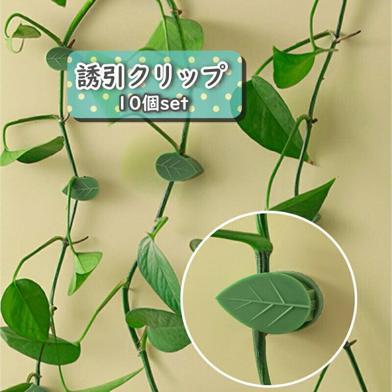 誘引クリップ 10個セット 園芸クリップ 固定クリップ 壁掛け 両面テープ リーフ型 農業 園芸 ガーデニング 接木 結束 バンド 固定 つる 花 野菜 便利 お洒落 可愛い インテリア 観葉植物 室内 屋内 壁貼り付け
