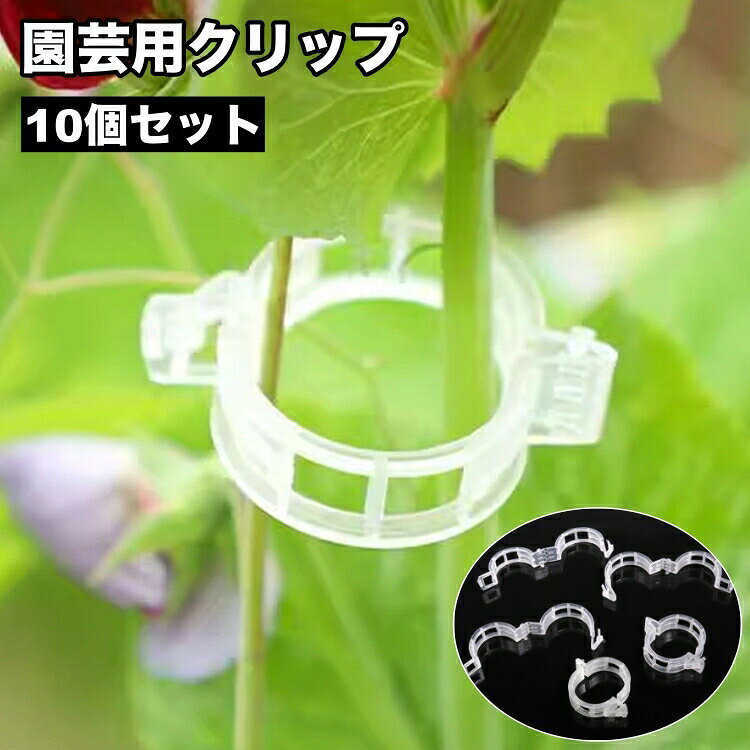 植物の成長をサポートする、園芸用クリップ10個セットです。ワンタッチで植物の茎を支柱に留められます♪茎の誘引が手軽にでき、植物を絞め付けずにキープできます☆ 【サイズについて】画像をご参照ください。 【カラーについて】生産ロットにより柄の出方や色の濃淡が異なる場合がございます。お使いのモニターや撮影時の光の加減などにより画像と実際の商品のカラーが異なる場合もございます。予告なしにカラーやデザインなどの変更がある場合もございます。 【素材について】PP