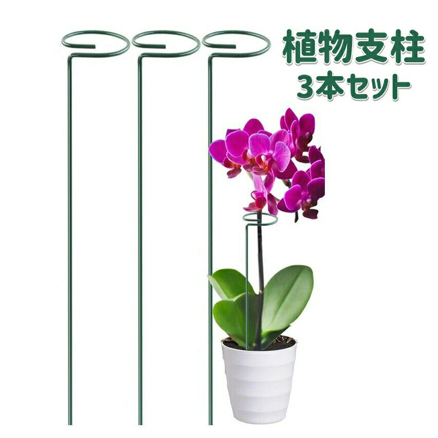 乐天商城 - 植物支柱 3本セット 園芸用支柱 40cm ガーデニング用具 無地 緑 円形 フラワー支柱 観葉支柱 つる性植物 家庭菜園 鉢植え 花 シンプル サポート 誘引 農業資材