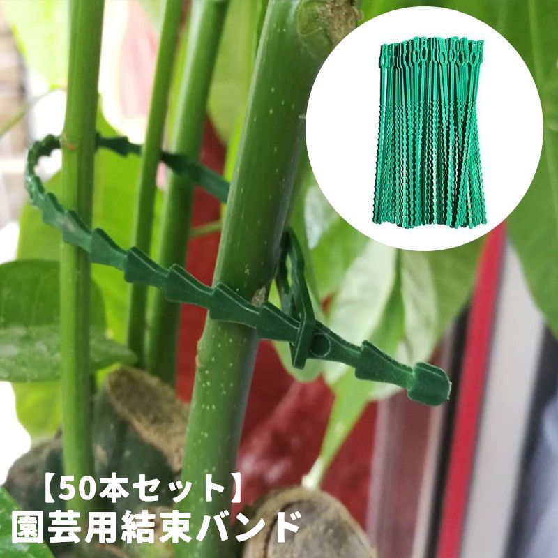 園芸用結束バンド 50本セット 結束バンド 園芸用品 ガーデニング用品 ガーデン用品 ケーブル結束バンド 誘引バンド 屋内 屋外 耐久 家庭菜園 観葉植物 花 つる 支柱固定 グリーン 緑