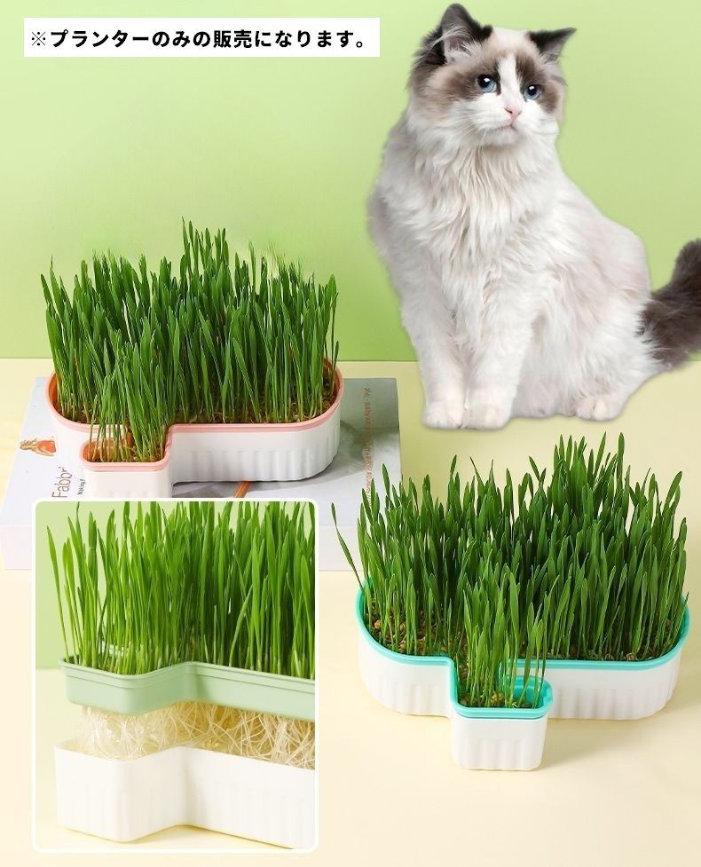 BACKYARD FAMILY ママタウンの猫草プランター 猫草ポット 猫草ボックス ペット用品 猫用品 猫 ねこ ネコ 水耕栽培 容器 ケースのみ 鉢 室内 屋内 シンプル おしゃれ｜アングル2