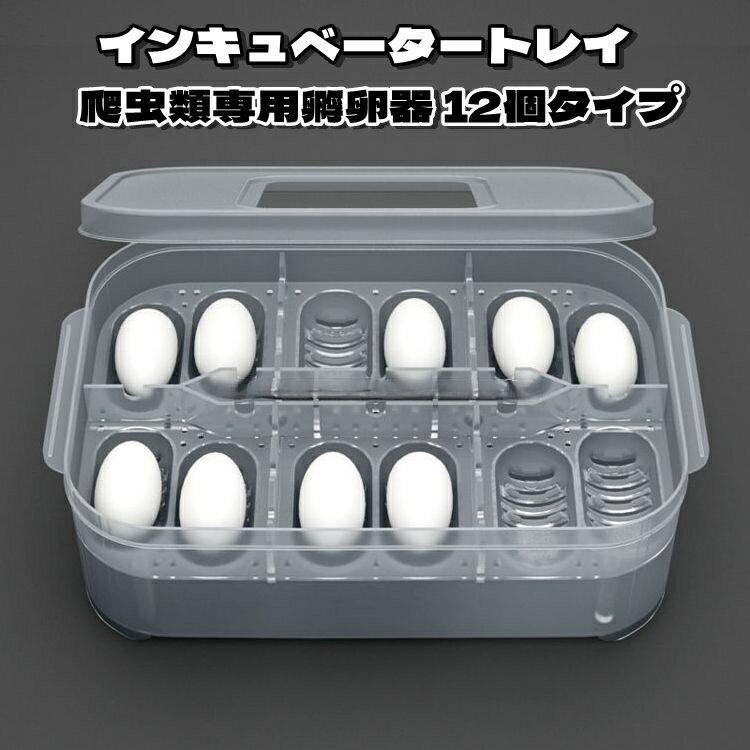 楽天市場】爬虫類用 孵卵器の通販