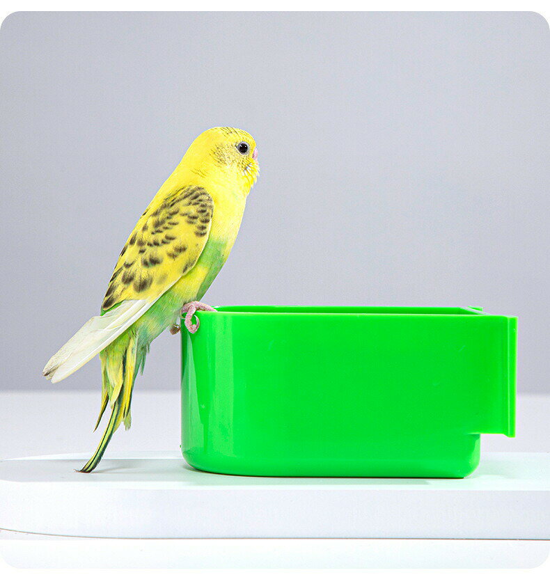 鳥用餌入れ ペット用品 水入れ シンプル ベーシック プラスチック 給餌器 給水器 ...