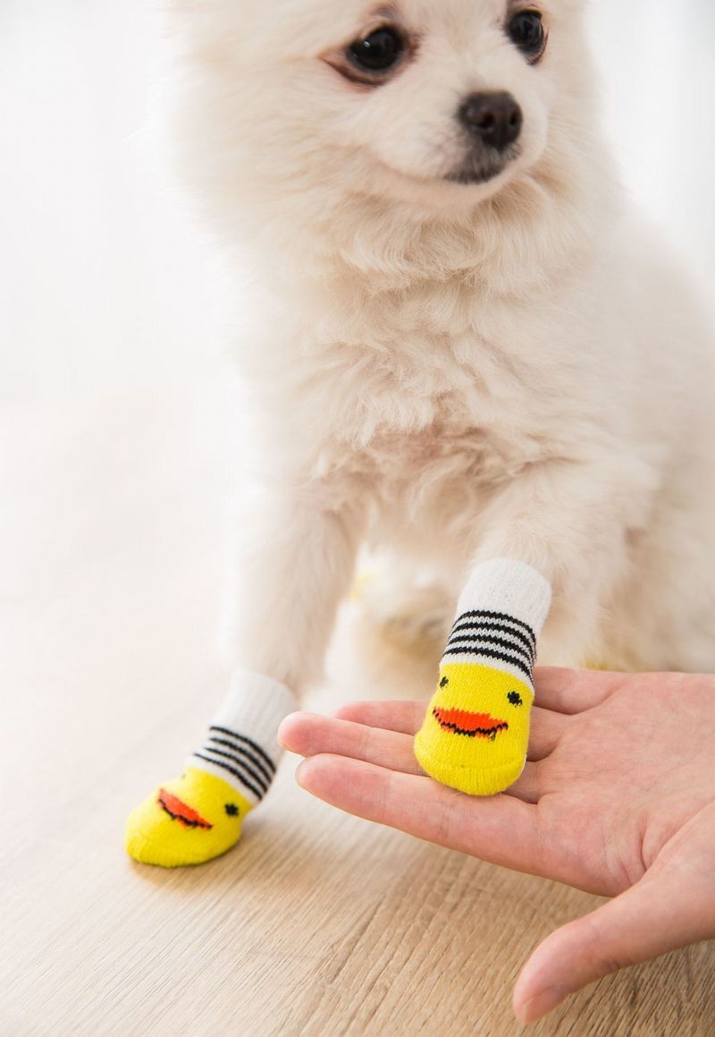 BACKYARD FAMILY ママタウンのペット用 靴下 くつ下 くつした ソックス 4個セット 犬 猫 ドッグ キャット 滑り止め付 可愛い かわいい お洒落 おしゃれ｜アングル3