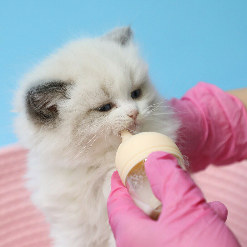 BACKYARD FAMILY ママタウンのペット用哺乳瓶 哺乳器 20ml 子猫 子犬 小動物 メモリ付き ミルクフィーダー ミルクボトル 授乳 哺乳 パピー ねこ ネコ キャット イヌ いぬ ドッグ｜アングル2