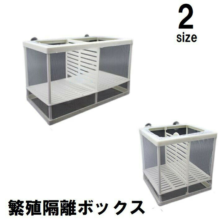 Rakuten - 繁殖隔離ボックス 産卵ケース 隔離ケース 隔離箱 吸盤付き 透明 クリア グッピー メダカ ベタ 水槽 飼育 育成