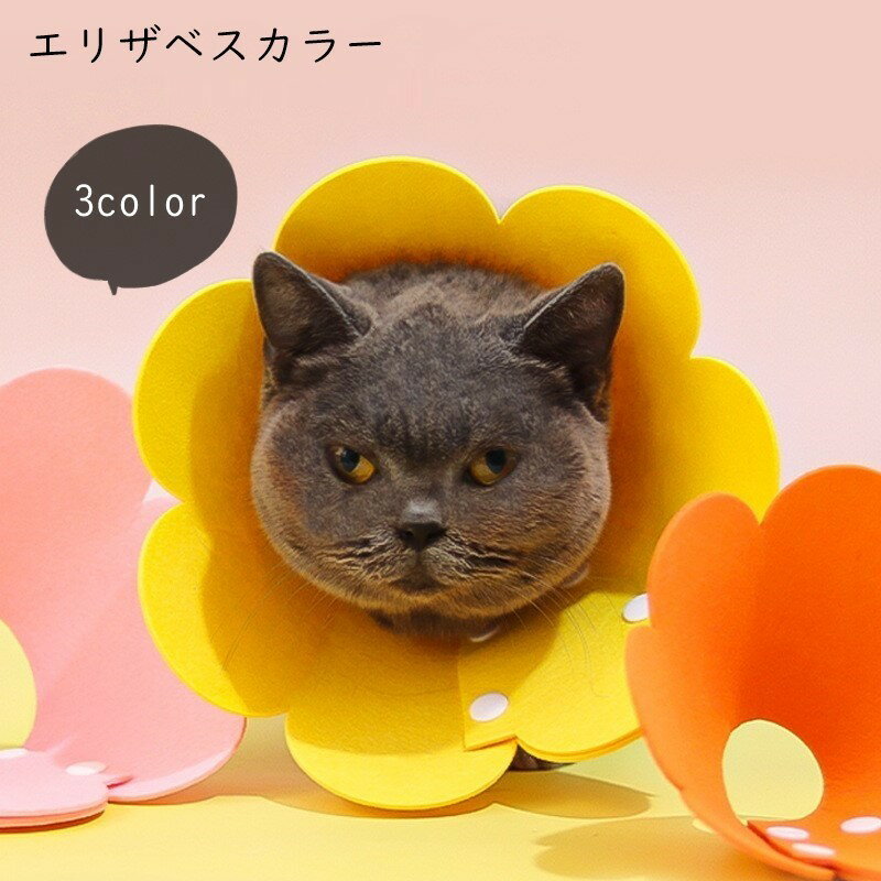 楽天市場】エリザベスカラー 花の通販