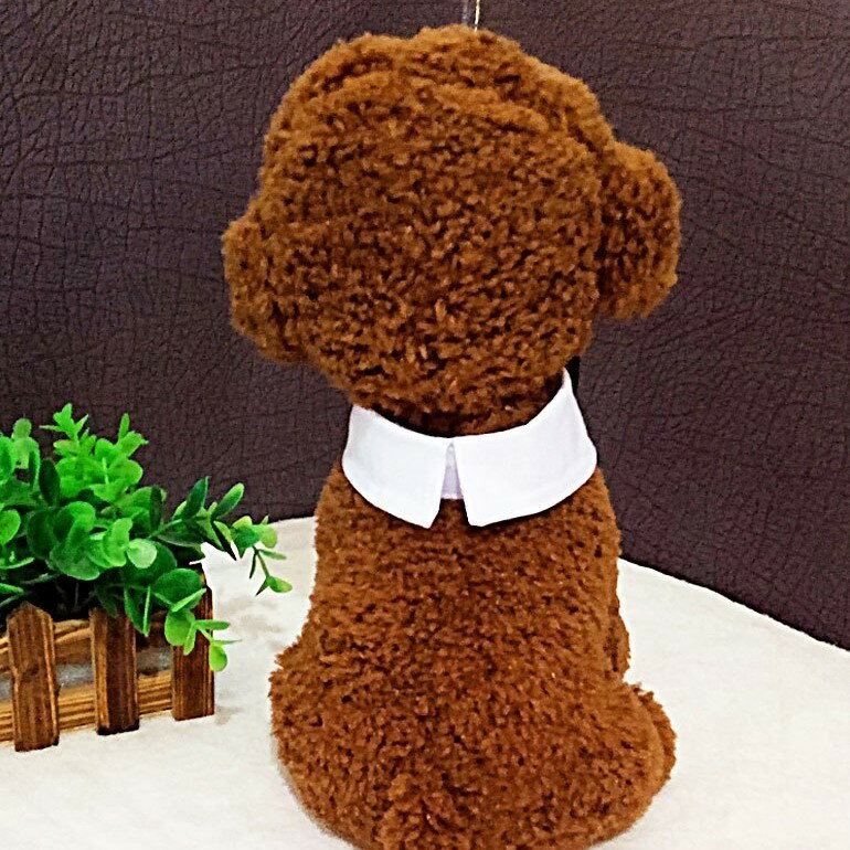 ペット用ネクタイ ペット用付け襟 ペット用アクセサリー 小型犬 中型犬 猫 ネコ 小...