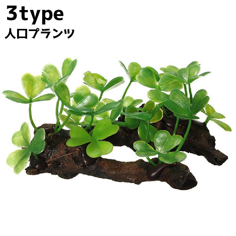 水槽内のレイアウトにおすすめな人口プランツです。 【サイズについて】画像をご参照ください。 【カラーについて】生産ロットにより柄の出方や色の濃淡が異なる場合がございます。お使いのモニターや撮影時の光の加減などにより画像と実際の商品のカラーが異なる場合もございます。予告なしにカラーやデザインなどの変更がある場合もございます。 【素材について】プラスチック