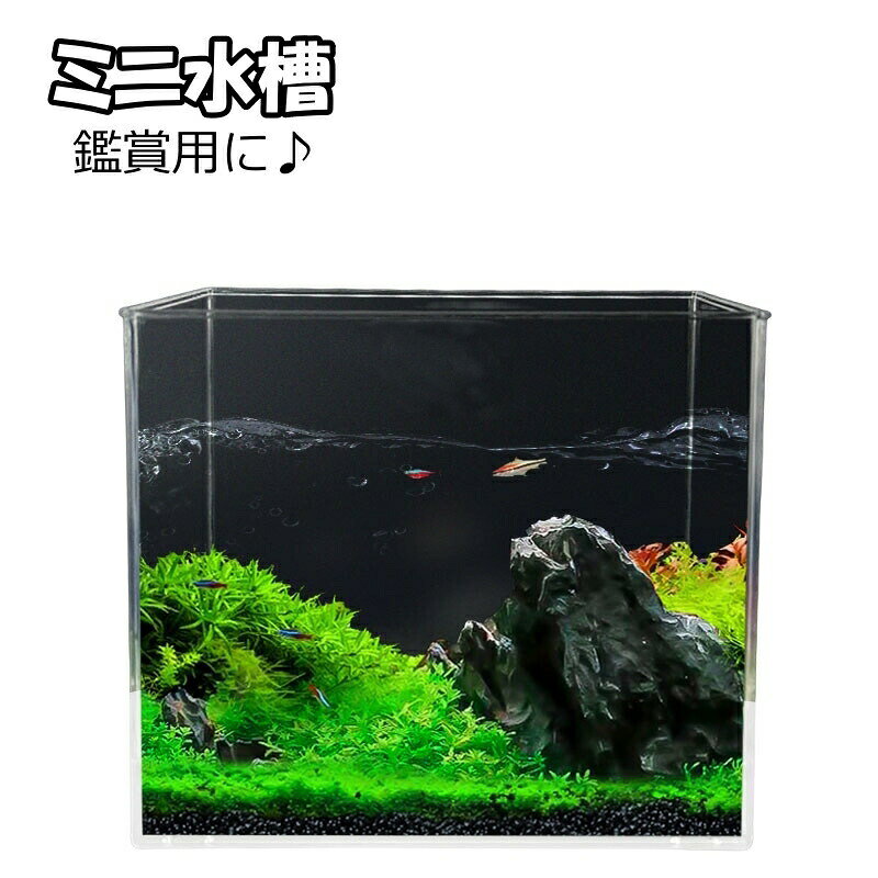 プラスチックのミニ水槽です。金魚などの鑑賞用に♪ 【サイズについて】画像をご参照ください。 【カラーについて】生産ロットにより柄の出方や色の濃淡が異なる場合がございます。お使いのモニターや撮影時の光の加減などにより画像と実際の商品のカラーが異なる場合もございます。予告なしにカラーやデザインなどの変更がある場合もございます。 【素材について】プラスチック