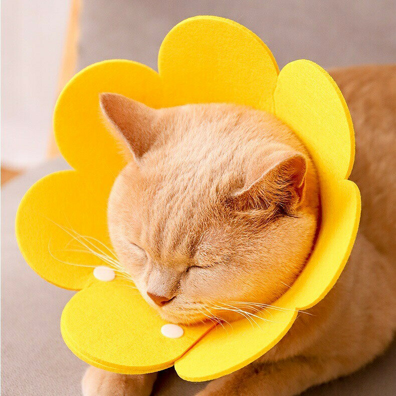 エリザベスカラー ペット用 猫用 犬用 小型犬 ソフト 柔らかい 布製 スナップボタ...