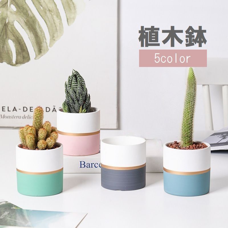 樂天商城 - 植木鉢 フラワーポット 陶器 円形 ラウンド型 観葉植物 多肉植物 サボテン 小さめ 小さい 窓際 窓辺 園芸 ガーデニング 屋内 屋外 バイカラー 配色 かわいい おしゃれ