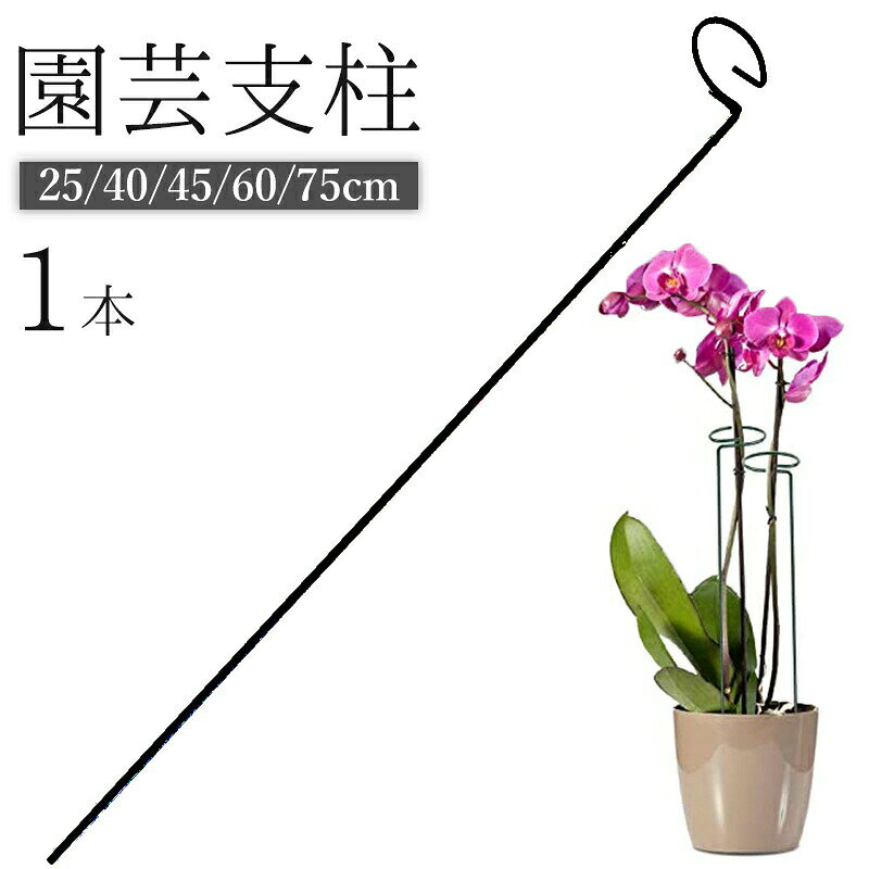 茎の広がりや転倒をする園芸支柱(1本)です。取付簡単で様々な植物にお使いいただけます。 【サイズについて】測り方により誤差が生じる場合がございます。同じサイズでも色やデザインによって大きさが異なる場合もございます。 【カラーについて】生産ロットにより柄の出方や色の濃淡が異なる場合がございます。お使いのモニターや撮影時の光の加減などにより画像と実際の商品のカラーが異なる場合もございます。予告なしにカラーやデザインなどの変更がある場合もございます。 【素材について】合金