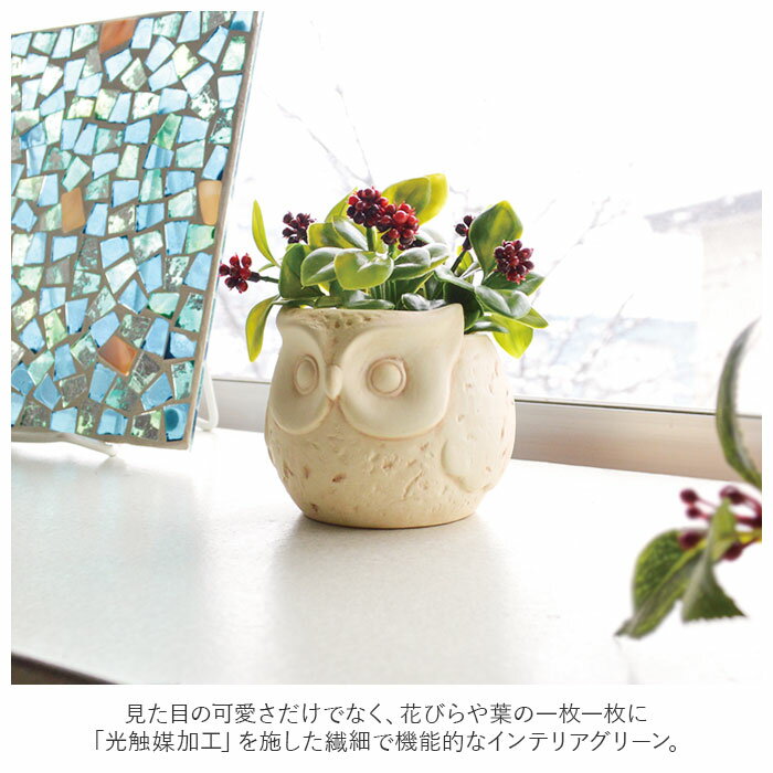 ������ �ե��������꡼�� ���� ��� ���ߥơ�����󥰥꡼�� ������� ƫ�� ����ƥꥢ�ץ��� �ý� ���� ����ƥꥢ ¤�� ���� �͹����� �ݥå� �������С� �ǥ����� �桼���� ����ꥢ�꡼�� �ץ�ڥå� �͹����տ�ʪ