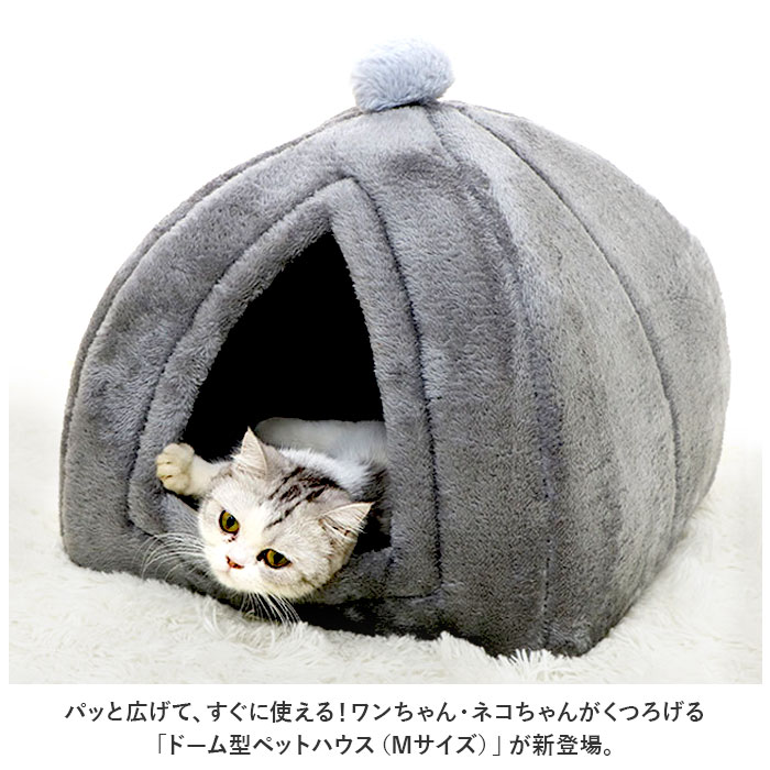 サンプル画像2