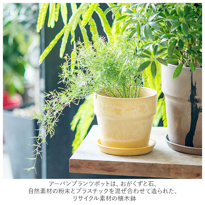 ����ȭ �ץ饹���å� ��ޯ�� 4�� ���� �ץ�󥿡� ������� ���� ȭ �ݥå� ��ȭ 4��ȭ �ץ饹���å���ȭ ���襤�� �İ��� ���� �ڤ� ľ�� 13.5cm �����Х�ץ��ĥݥå� 4�� �ޡ��֥� POSH LIVING �ݥå�����