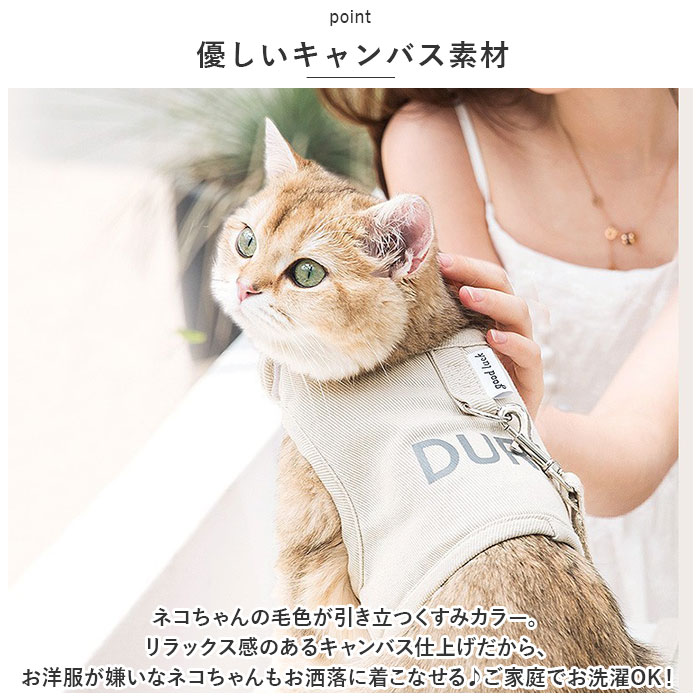 ǭ�� �ڥå� �ϡ��ͥ� �꡼�� ���å� ������ ���� ƹ�� �٥��� ����åȥ����� ����åȥ����� ��ȿ�� �̵��� ȴ���ʤ� ǭ �ͥ��� �ͤ��� ����å� �ͤ� �ͥ� ���������� ���� �����ȥɥ� ���Ф��� ���гݤ�