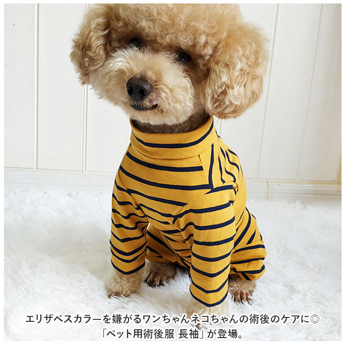 サンプル画像2