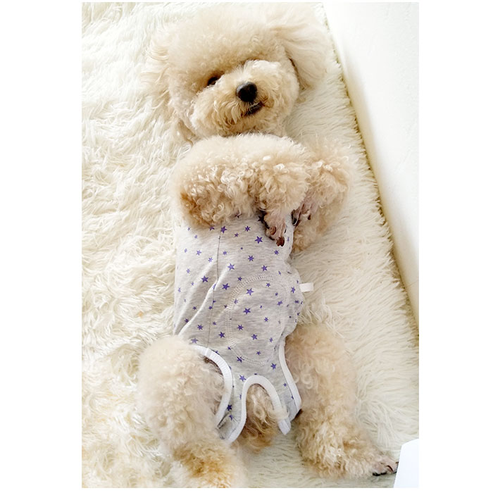 �ڥå��ѽѸ��� ���� ���Ѹ��� �Ѹ� ����� �ɥå������� ����åȥ����� �ڥåȥ����� ������ �ڥå��� �� ǭ ���� �ͥ� �ѥ���� ���С������� �Ρ����꡼�� ���󥯥ȥå� µ�ʤ� �� �ۤ� ����ܥ��� ��䤹�� ��ǥ ���� ��� ���Ӥ� �����ݸ� �� �� �� ������ ���� ǭ��