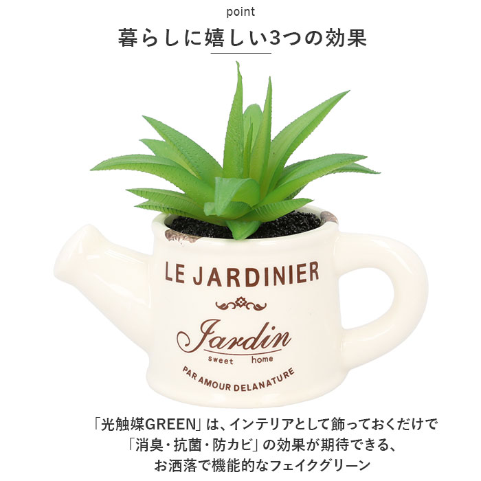 ������ ���տ�ʪ ��� ���� ���礦�� �ե��������꡼�� �ߥ� ������� ¤�� ���ե� �ץ����ե� £��ʪ ���襤�� �ý� ���� ������ ����� ��ʪ ����ƥꥢ