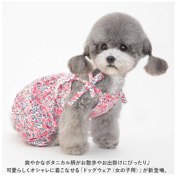 �ڥå� �� ���襤�� �������� ���� T����� ���åȥ��� �� �� ���� ���� ������ �롼�०���� �ڥå��� ���åȥ� ��ܥ� �� ���� �����奢�� �� ��