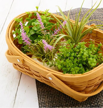 光触媒観葉植物 おしゃれ 通販 観葉植物 光触媒 フェイク 小さい 枯れない 造花 フェイクグリーン リアル インテリアグリーン ミニ 小さめ コンパクト ラウンドポット 丸型 イミテーショングリーン 消臭 除菌 空気清浄 インテリア 人工植物 卓上 デスク 机 玄関 靴箱