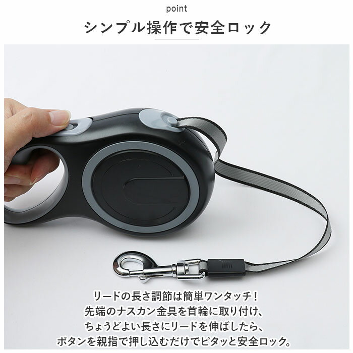 サンプル画像3