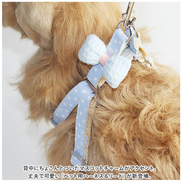 犬 リード ハーネス 通販 胴輪 ペット かわいい ソフト 簡単装着 散歩 お出かけ 犬用 猫用 イヌ いぬ 猫 ねこ ネコ リボン 水玉 おしゃれ 可愛い backyard-10341336 BACKYARD FAMILY ママタウン サンプル画像2