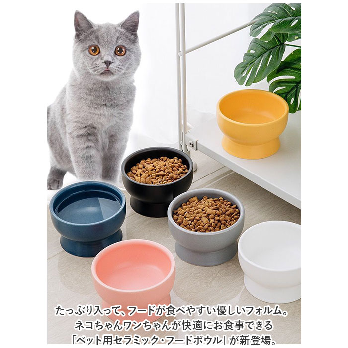 ペット フードボウル 陶器 通販 食器 餌皿 エサ皿 餌入れ ペットボウル エサ入れ お皿 エサいれ 皿 丸い 給水 フード 大容量 シンプル 傷がつきにくい 犬 イヌ いぬ 猫 ネコ ねこ 餌 エサ かわいい おしゃれ backyard-10341899 BACKYARD FAMILY ママタウン サンプル画像2