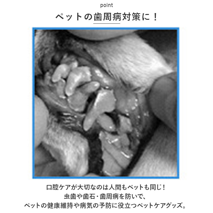 �ڥå� ���֥饷 ���� �ڥåȻ��֥饷 ���᤭ ���֤餷 �إ��å� �ػ��֥饷 �ڥå��ѻػ��֥饷 �ڥå��� ���Х��� ���꡼�˥� �Ϥ֤餷 �ϥ֥饷 �� ǭ ���� �ͥ� ���� �ͤ� ���Х����� ���� ǭ��