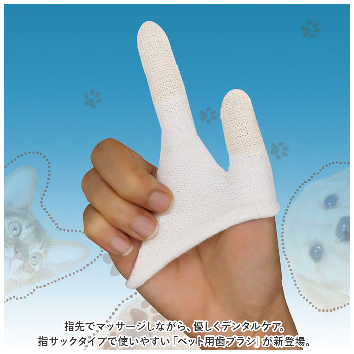 サンプル画像2