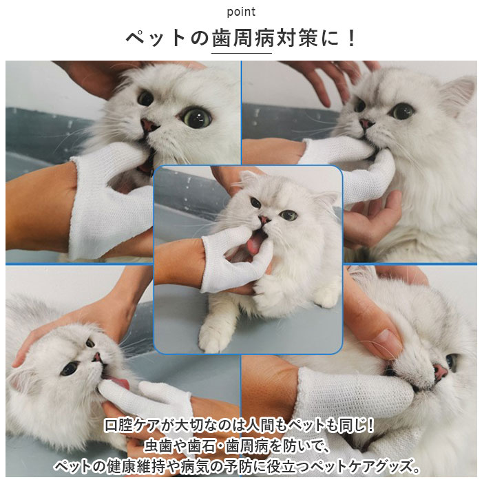 �ڥå� ���֥饷 2�ܻ� ���� �ڥåȻ��֥饷 ���᤭ ���֤餷 �إ��å� �ػ��֥饷 �ڥå��ѻػ��֥饷 �ڥå��� ���Х��� ���꡼�˥� �Ϥ֤餷 �ϥ֥饷 �� ǭ ���� �ͥ� ���� �ͤ� ���Х����� ���� ǭ��